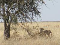 &copy; Britt Reuter-Bracklow (Eberhardt TRAVEL)
