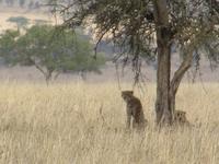 &copy; Britt Reuter-Bracklow (Eberhardt TRAVEL)
