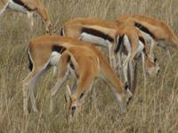 &copy; Britt Reuter-Bracklow (Eberhardt TRAVEL)