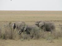 &copy; Britt Reuter-Bracklow (Eberhardt TRAVEL)