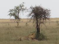 &copy; Britt Reuter-Bracklow (Eberhardt TRAVEL)