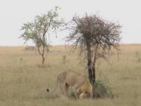 &copy; Britt Reuter-Bracklow (Eberhardt TRAVEL)