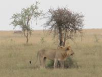 &copy; Britt Reuter-Bracklow (Eberhardt TRAVEL)