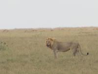 &copy; Britt Reuter-Bracklow (Eberhardt TRAVEL)