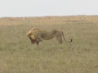 &copy; Britt Reuter-Bracklow (Eberhardt TRAVEL)