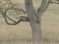 &copy; Britt Reuter-Bracklow (Eberhardt TRAVEL)