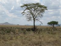 &copy; Britt Reuter-Bracklow (Eberhardt TRAVEL)
