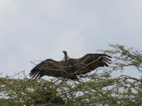 &copy; Britt Reuter-Bracklow (Eberhardt TRAVEL)
