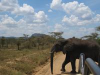 &copy; Britt Reuter-Bracklow (Eberhardt TRAVEL)