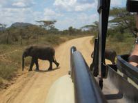 &copy; Britt Reuter-Bracklow (Eberhardt TRAVEL)