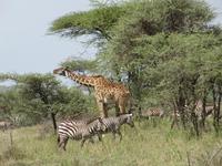 &copy; Britt Reuter-Bracklow (Eberhardt TRAVEL)