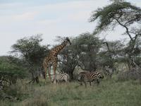 &copy; Britt Reuter-Bracklow (Eberhardt TRAVEL)