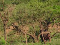 &copy; Britt Reuter-Bracklow (Eberhardt TRAVEL)