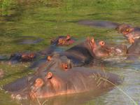 &copy; Britt Reuter-Bracklow (Eberhardt TRAVEL)