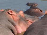 &copy; Britt Reuter-Bracklow (Eberhardt TRAVEL)