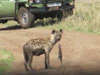 &copy; Britt Reuter-Bracklow (Eberhardt TRAVEL)