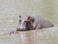 &copy; Britt Reuter-Bracklow (Eberhardt TRAVEL)