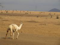 &copy; Britt Reuter-Bracklow (Eberhardt TRAVEL)