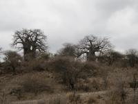 &copy; Britt Reuter-Bracklow (Eberhardt TRAVEL)
