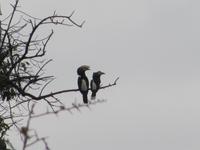 &copy; Britt Reuter-Bracklow (Eberhardt TRAVEL)