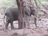 &copy; Britt Reuter-Bracklow (Eberhardt TRAVEL)