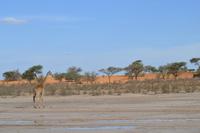 &copy; Laura Wonneberger (Eberhardt TRAVEL)