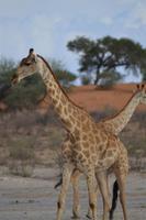 &copy; Laura Wonneberger (Eberhardt TRAVEL)