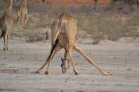 &copy; Laura Wonneberger (Eberhardt TRAVEL)