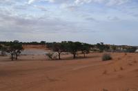 Kalahari &ndash; &copy; Laura Wonneberger (Eberhardt TRAVEL)