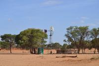 Oryx (9) &ndash; &copy; Laura Wonneberger (Eberhardt TRAVEL)