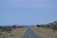 Pads Namibia (1) &ndash; &copy; Laura Wonneberger (Eberhardt TRAVEL)