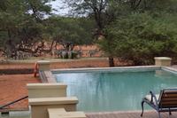 Tiere der Kalahari (3) &ndash; &copy; Laura Wonneberger (Eberhardt TRAVEL)