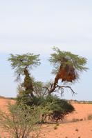 &copy; Laura Wonneberger (Eberhardt TRAVEL)
