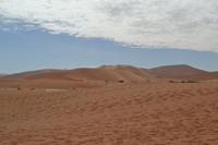 Dead Vlei (3) &ndash; &copy; Laura Wonneberger (Eberhardt TRAVEL)
