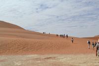 Dead Vlei (6) &ndash; &copy; Laura Wonneberger (Eberhardt TRAVEL)