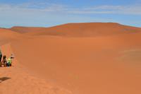 Dead Vlei (7) &ndash; &copy; Laura Wonneberger (Eberhardt TRAVEL)