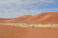 Dead Vlei (8) &ndash; &copy; Laura Wonneberger (Eberhardt TRAVEL)
