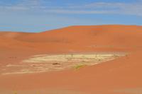 Dead Vlei (10) &ndash; &copy; Laura Wonneberger (Eberhardt TRAVEL)