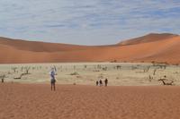 Dead Vlei (11) &ndash; &copy; Laura Wonneberger (Eberhardt TRAVEL)