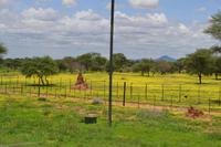 Fahrt nach Okahandja (5) &ndash; &copy; Laura Wonneberger (Eberhardt TRAVEL)