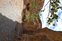 Sesriem Canyon (5) &ndash; &copy; Laura Wonneberger (Eberhardt TRAVEL)