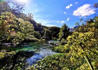 An der Blue Eye Quelle &ndash; &copy; Simone Willner (Eberhardt TRAVEL)
