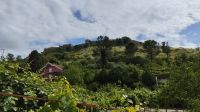 Der Blick auf die Rozafa-Burg &ndash; &copy; Julia Kies (Eberhardt TRAVEL)