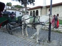 Berat: Rundgang &ndash; &copy; Inge Bily (Eberhardt TRAVEL)