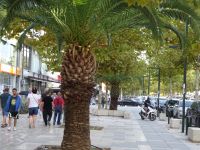 Vlora: Rundgang &ndash; &copy; Inge Bily (Eberhardt TRAVEL)
