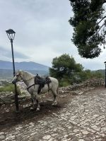 &copy; Carola Gastmeier (Eberhardt TRAVEL)