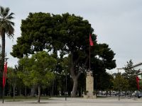 Vlora (5) &ndash; &copy; Thomas Krupp (Eberhardt TRAVEL)