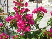 Saranda &ndash; &copy; Inge Bily (Eberhardt TRAVEL)