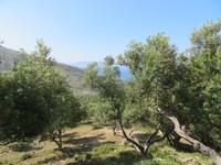 IMG_6322 &ndash; &copy; Sylvia Sann (Eberhardt TRAVEL)
