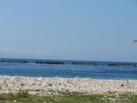 IMG_6329